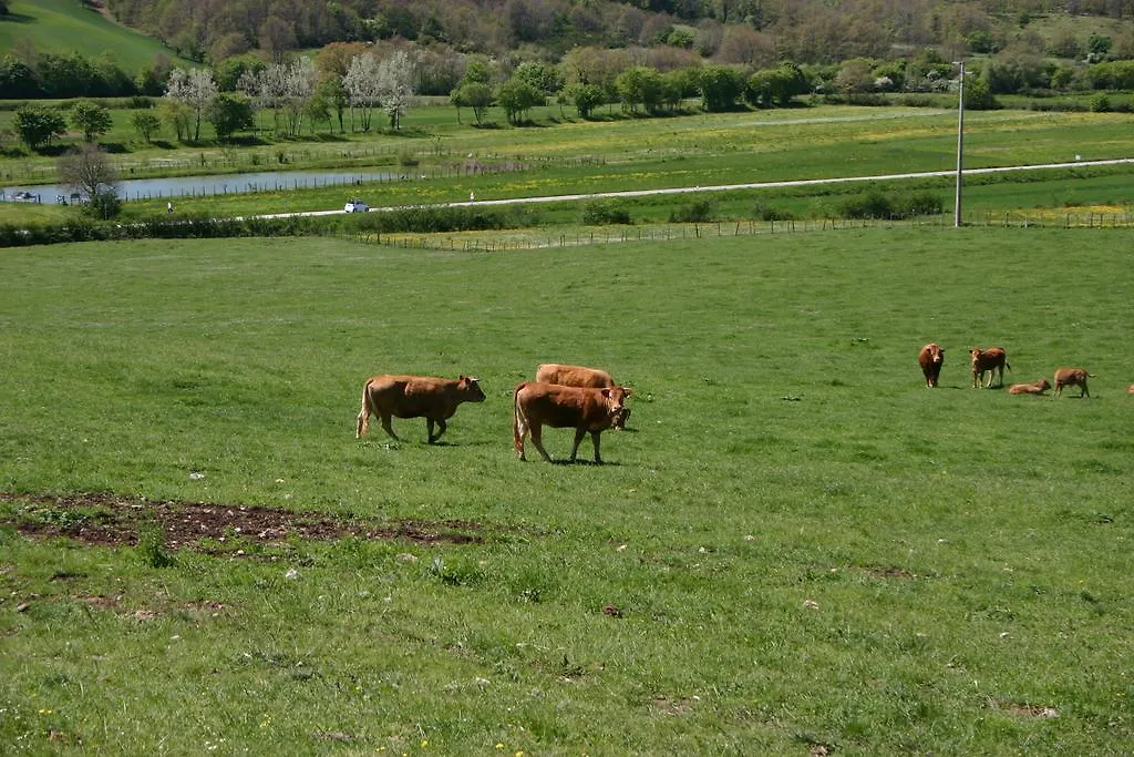 Vakantieboerderij Il Poggiolo Villa Montieri